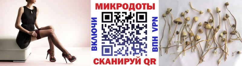 mega   Находка  Псилоцибиновые грибы мухоморы  закладка 